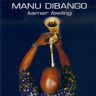 Manu Dibango - Kamer Feeling Manu Dibango - Kamer Feeling album cover
